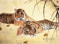 fotos de tigres chinos